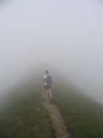 Into the mist...